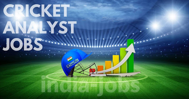 cricket analyst jobs