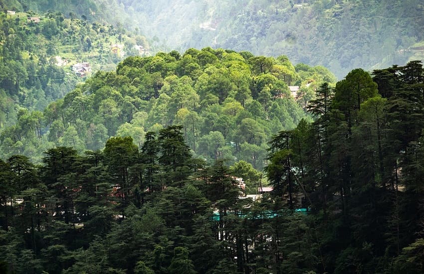 Shimla Manali trip from Hyderabad