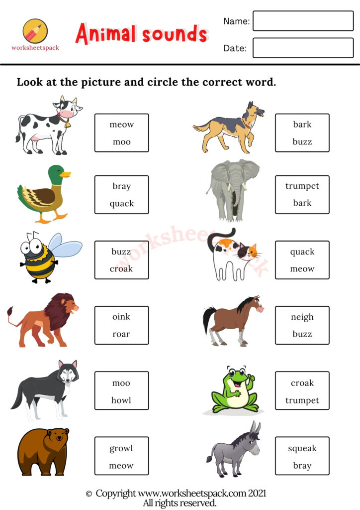 animals sound worksheets