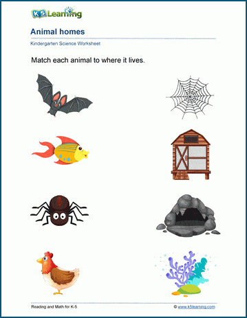 the Fascinating World of Animal Homes An Interactive Worksheet