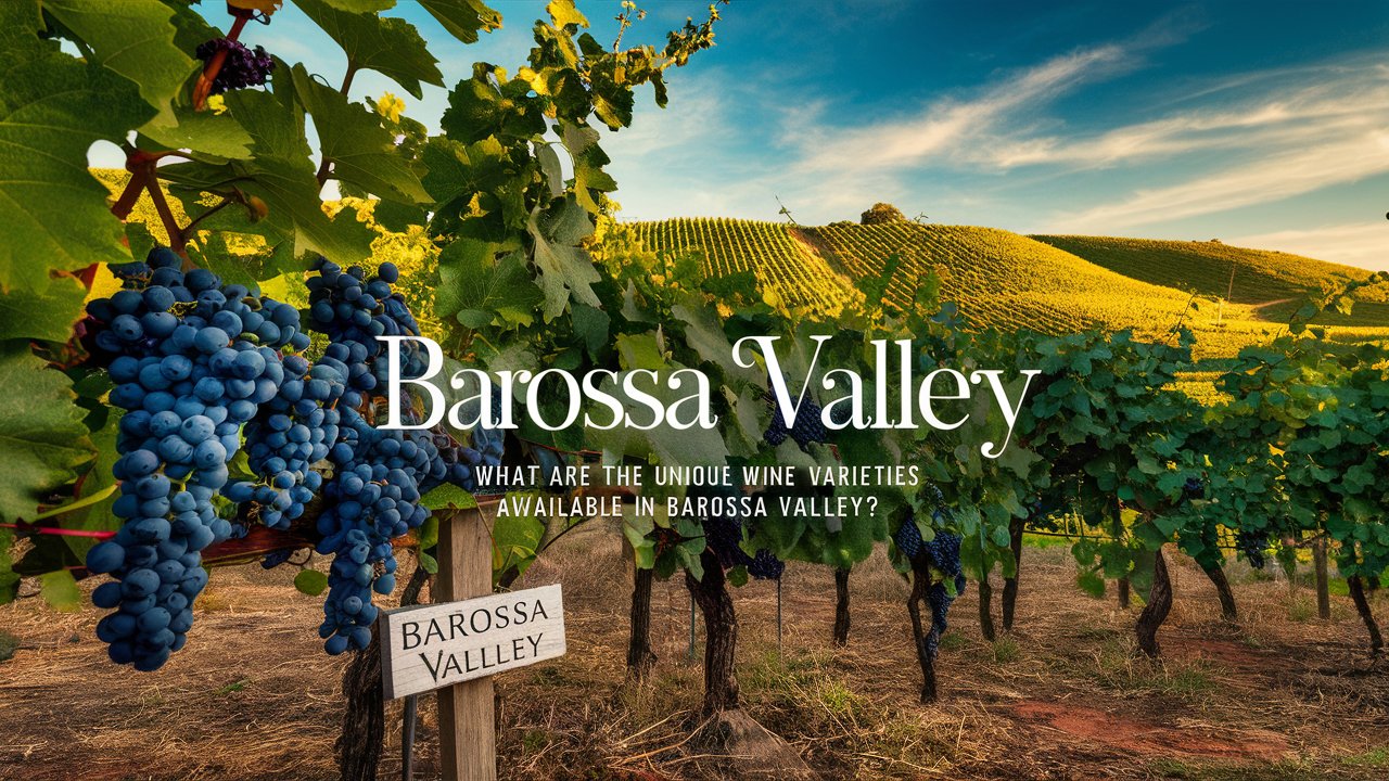 What Are The Unique Wine Varieties Available In Barossa Valley