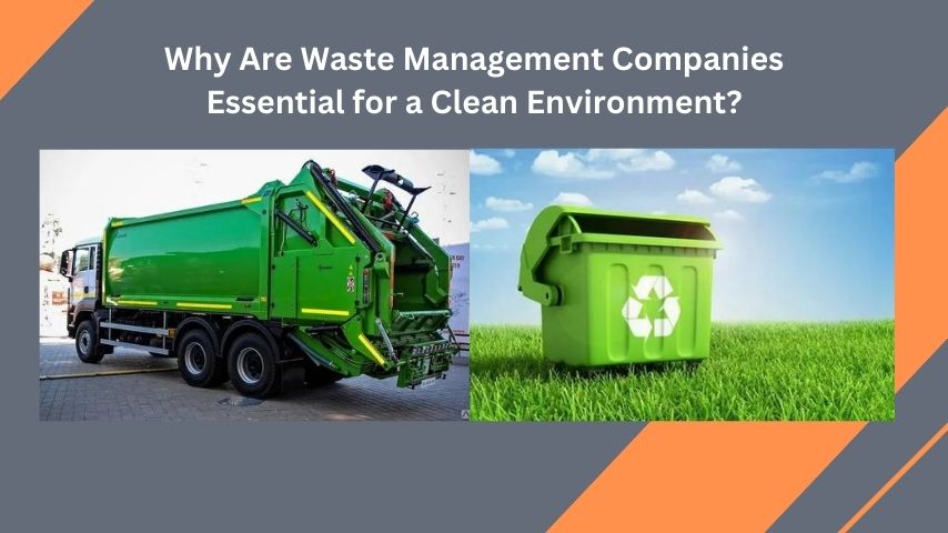 Why Are Waste Management Companies Essential for a Clean Environment?